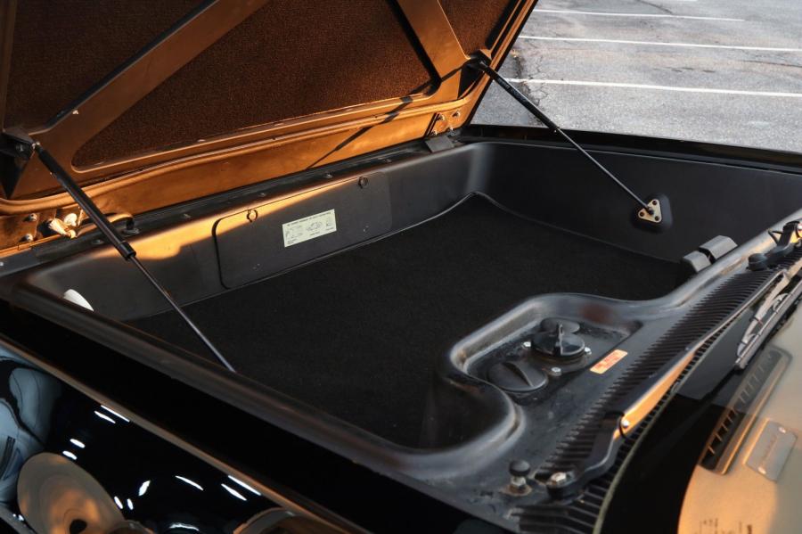 Багажник DeLorean DMC-12 in Black 1981 года  (фото 150 из 207)
